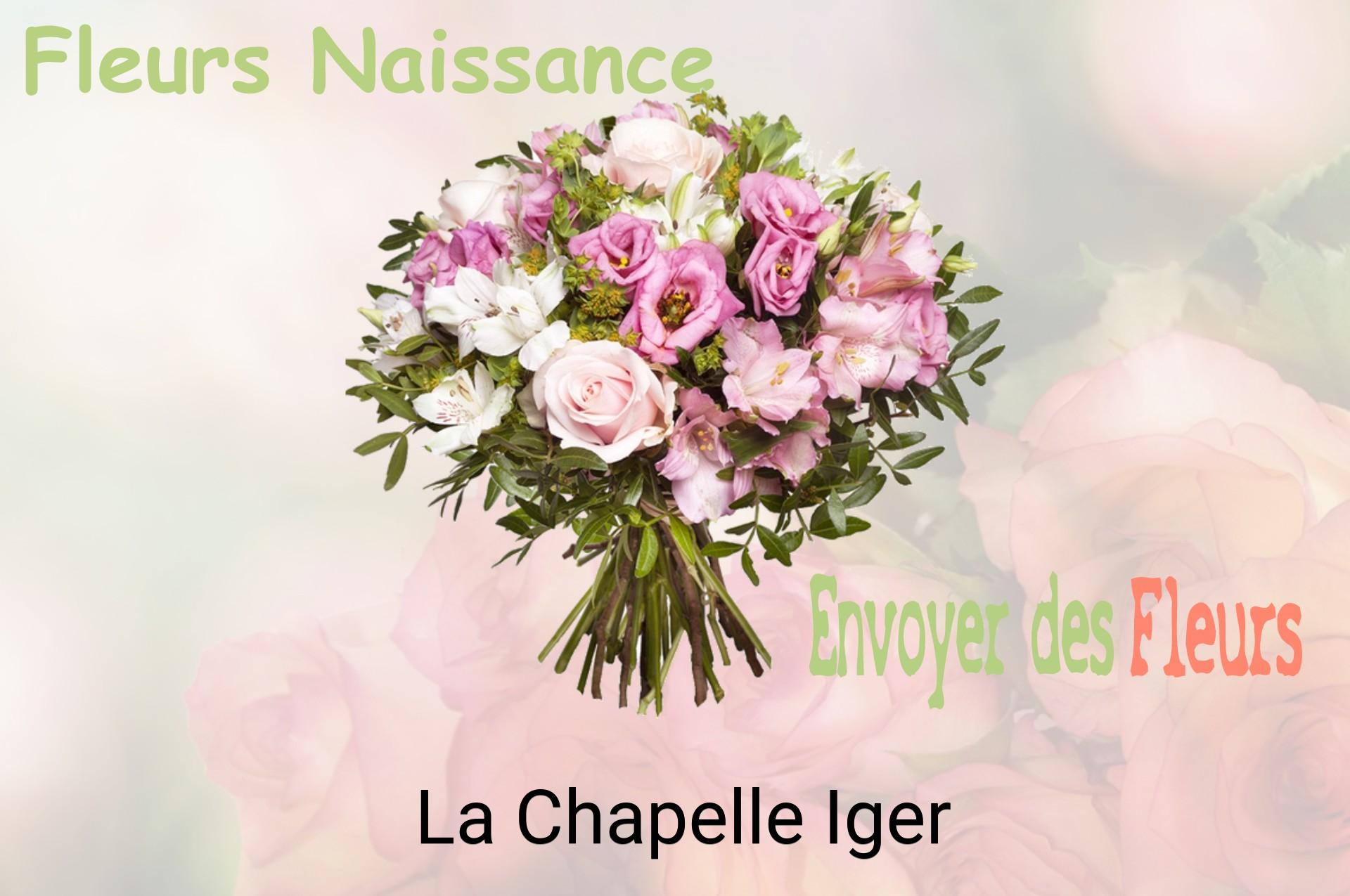Bouquet de fleurs de naissance livré à La Chapelle-Iger